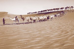 Photo Alistair Bestow