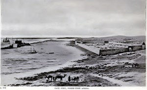 flocapjuby1880